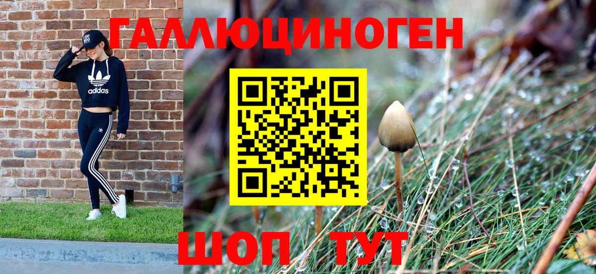 Галлюциногенные грибы MAGIC MUSHROOMS Тулун
